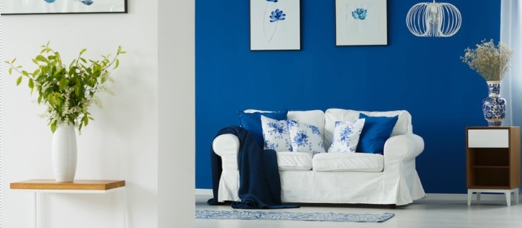 best interior painters burlington